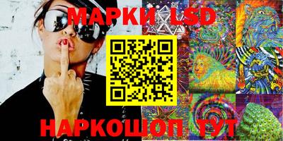 гидропоника Донской