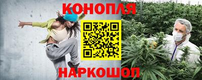 крисы Донецк