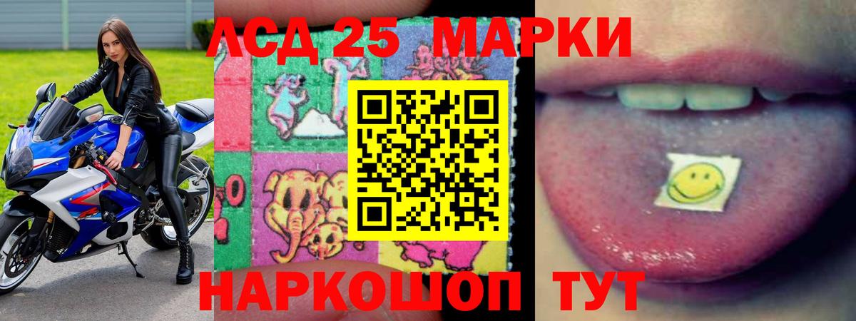 Галлюциногенные грибы Кыштым