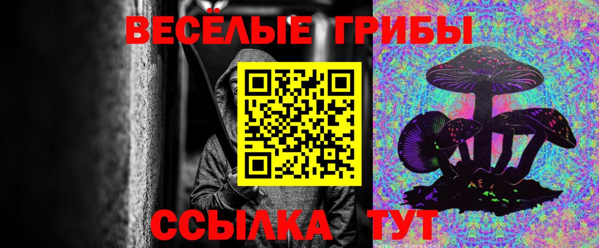 Галлюциногенные грибы прущие грибы Кыштым