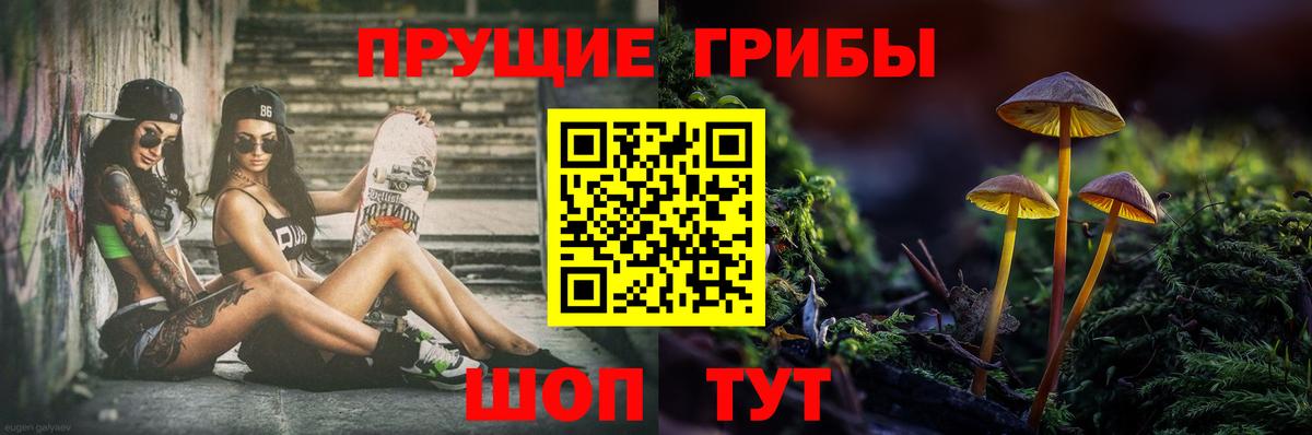Кыштым  Галлюциногенные грибы Cubensis  Вход с VPN 